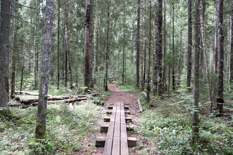 Beaver Trail